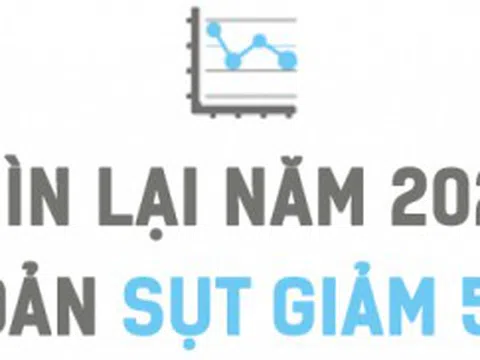Nhìn lại năm 2020 có lúc tài khoản "bay" 50% trong một tháng, tôi đã đứng dậy và vượt qua năm Covid thứ nhất như thế nào?