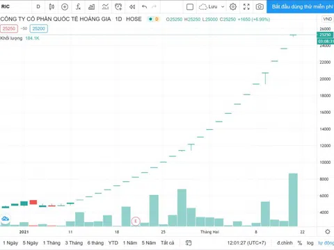 Một cổ phiếu lập kỷ lục giá với 25 phiên tăng trần liên tục