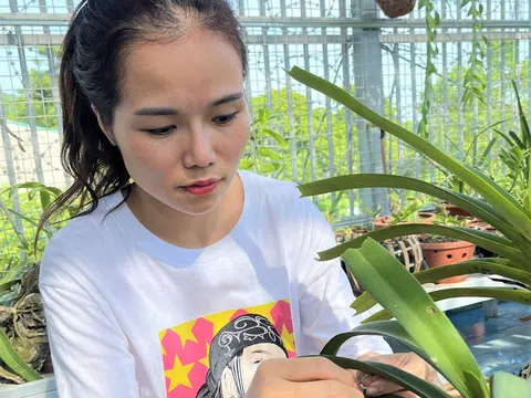 Tạ Thị Quyên - Cô giáo 8X khởi nghiệp làm giàu từ hoa lan