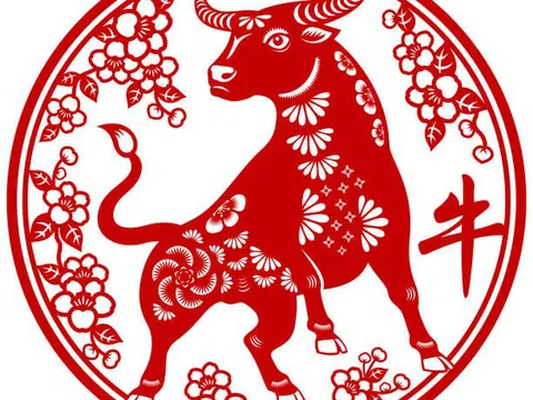 Tử vi tuổi Sửu năm 2021 - Biết tiến biết lui, quả ngọt chờ phía trước