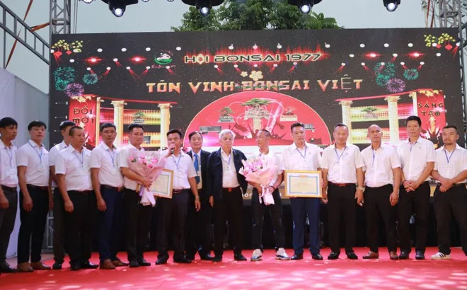 Ra mắt Hội Bonsai 1977: Hội tụ 500 nghệ nhân, chủ nhà vườn toàn quốc tại sân chơi cây cảnh nghệ thuật, bể đá cố triệu đô