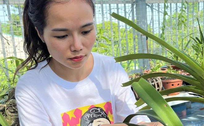 Tạ Thị Quyên - Cô giáo 8X khởi nghiệp làm giàu từ hoa lan