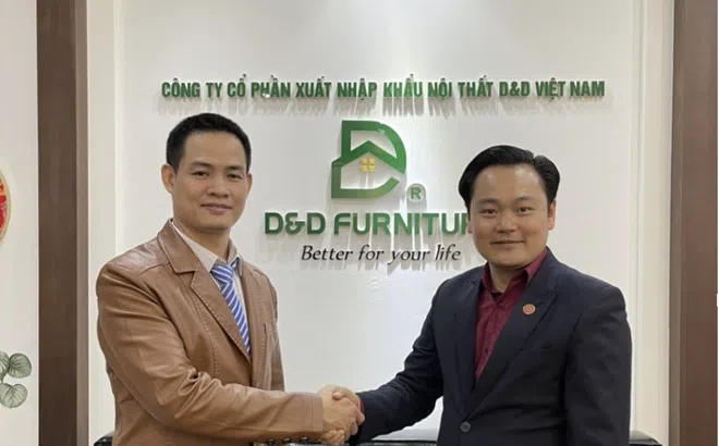 Cơ chế chính sách của sofa D&D: Ưu đãi và hỗ trợ cho khách hàng