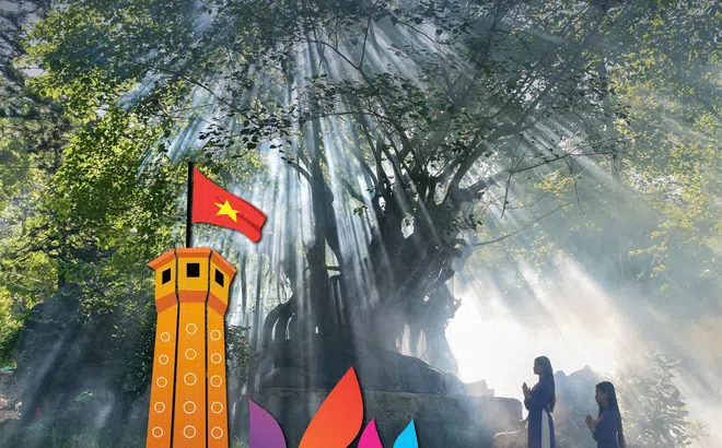 Đăng ký thành viên Viện Kinh tế - Văn hóa và Nghệ thuật